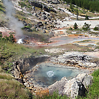 Yellowstone NP
