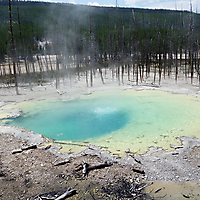 Yellowstone NP