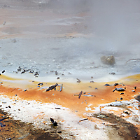 Yellowstone NP