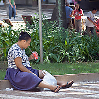 Brazilian Street