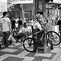 Brazilian Street (SW)